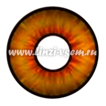 Карнавальные линзы EOS Vampire Yellow Фото 3